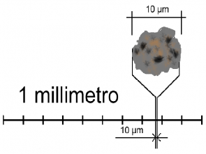 Disegno delle dimensioni di una particella fine PM10